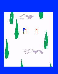 U.S. Ski Team Skiing Screenshot 1
